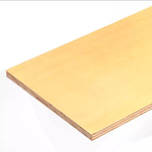 Compensado Marfim Folheado 275x160x4mm