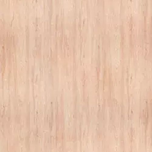 Tapa Furo Carvalho Mel 13mm C/40 Unidades